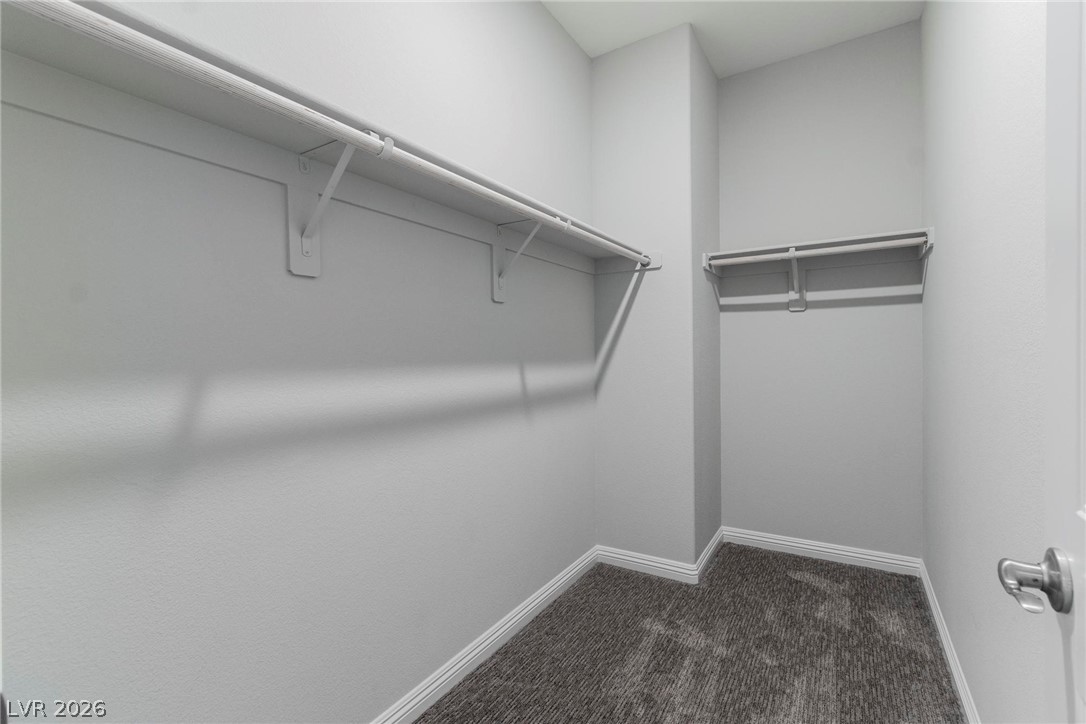 4165 Vibrant Star Avenue Property Photo 33