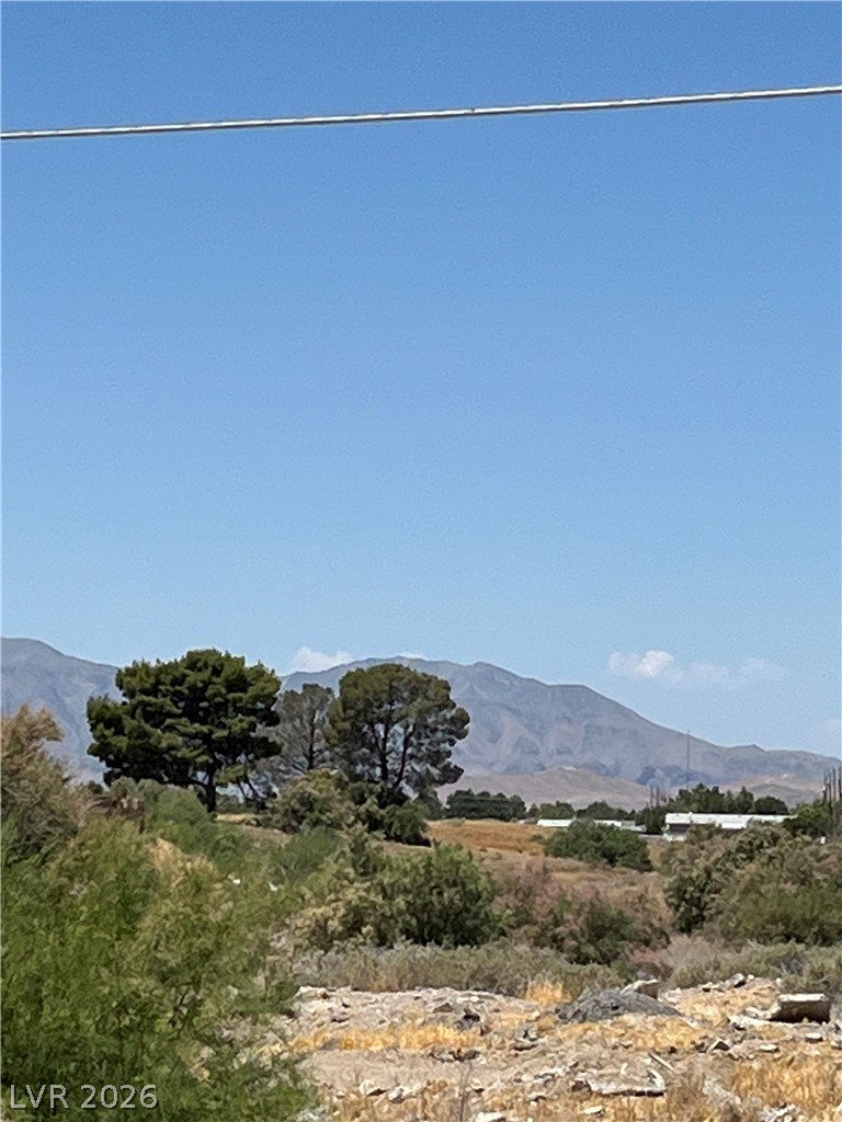 1461 Upland Avenue Property Photo 10