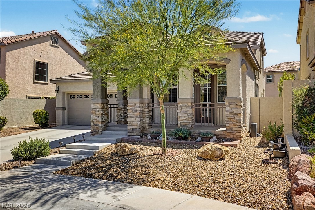 11793 Lily Rubin Avenue Property Photo 11