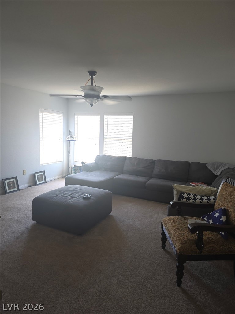 5913 Caddy Ridge Street Property Photo 7