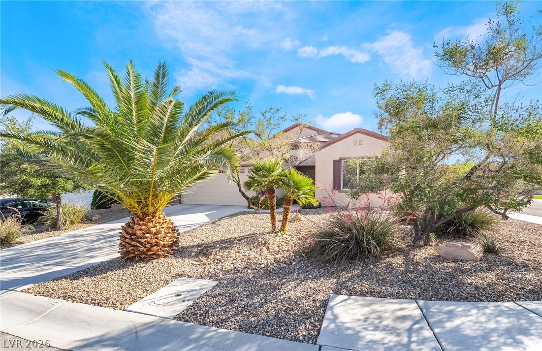 2570 Cosmic Dust Street Property Photo 2