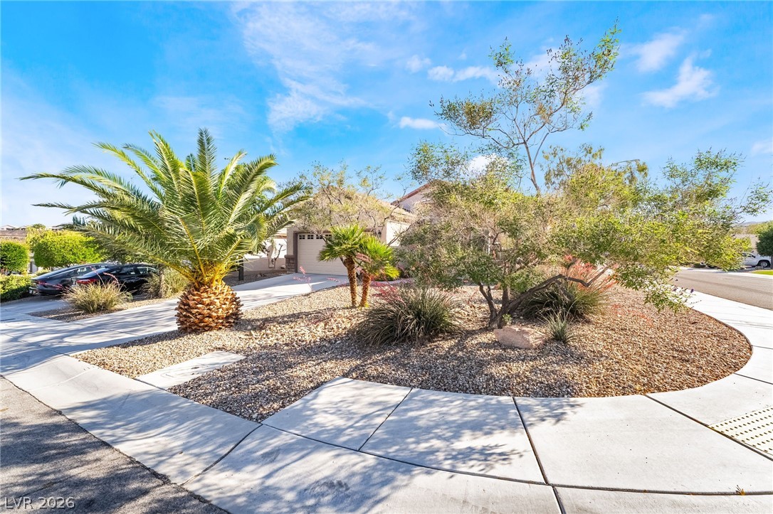 2570 Cosmic Dust Street Property Photo 3