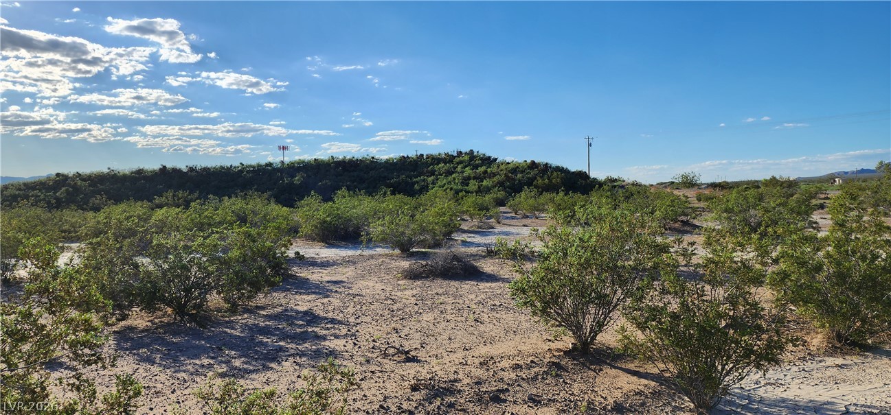Quartz Property Photo 4