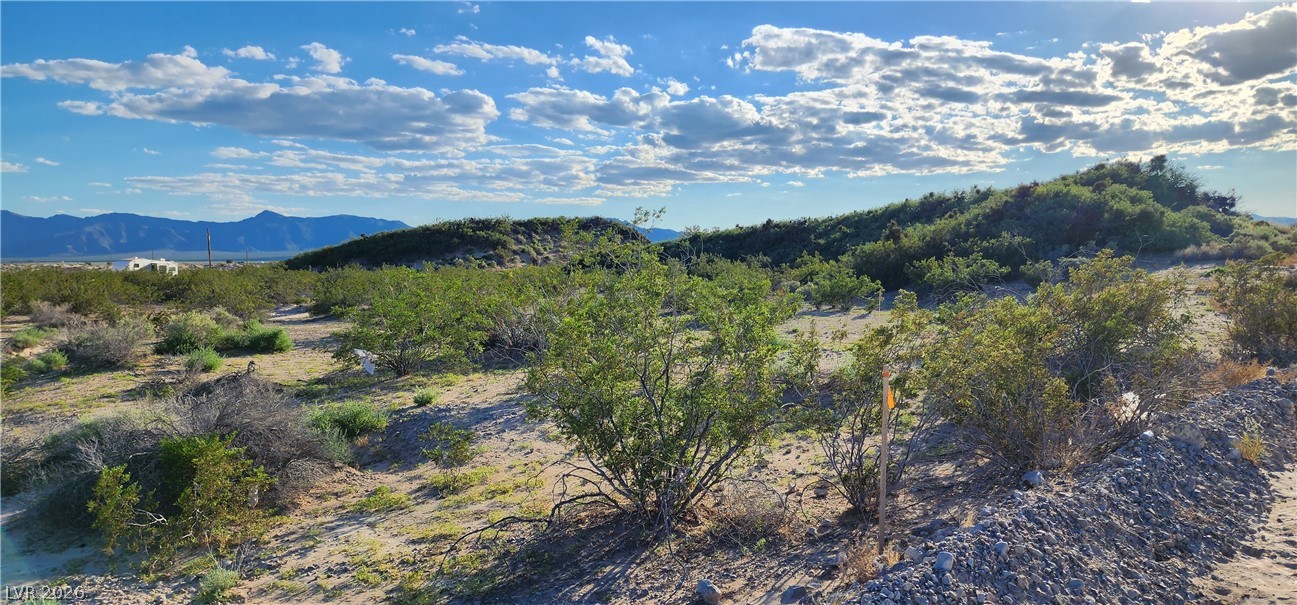 Quartz Property Photo 5