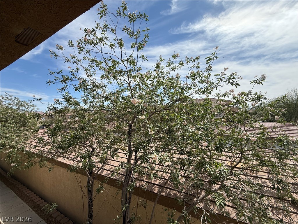 833 Aspen Peak Loop 922 Property Photo 24