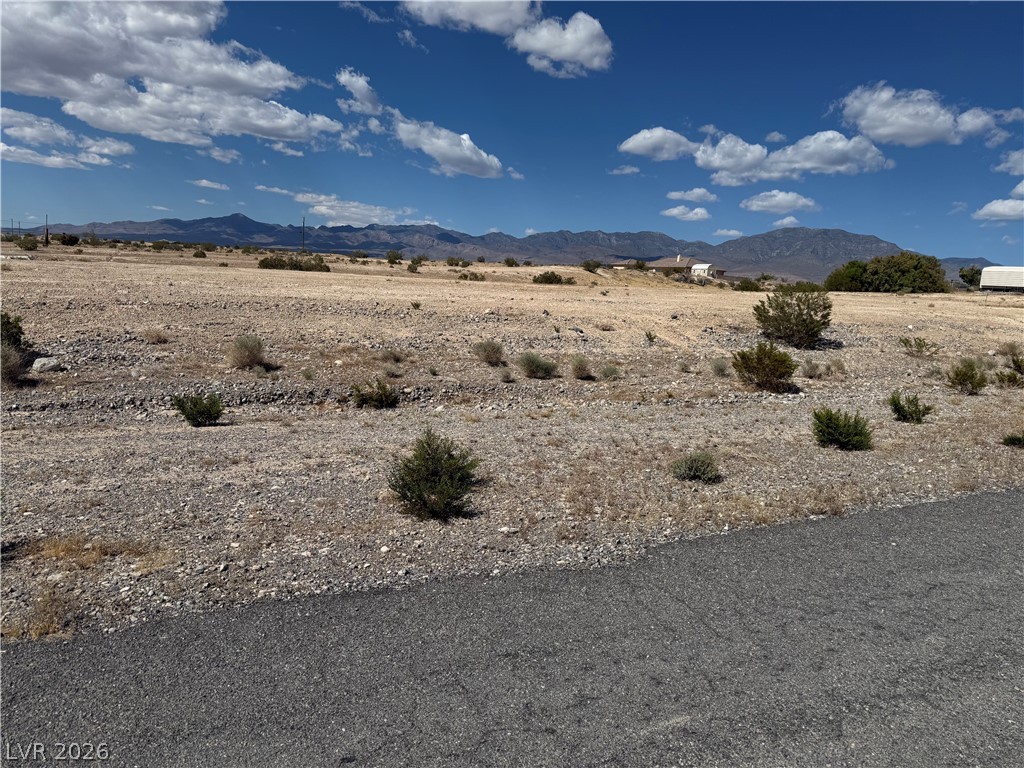 1230 East Irene Street Property Photo 2