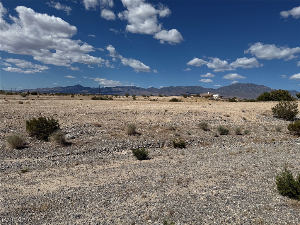 1230 East Irene Street Property Photo 4
