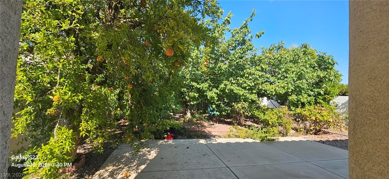 3320 Michelangelo Court Property Photo 1