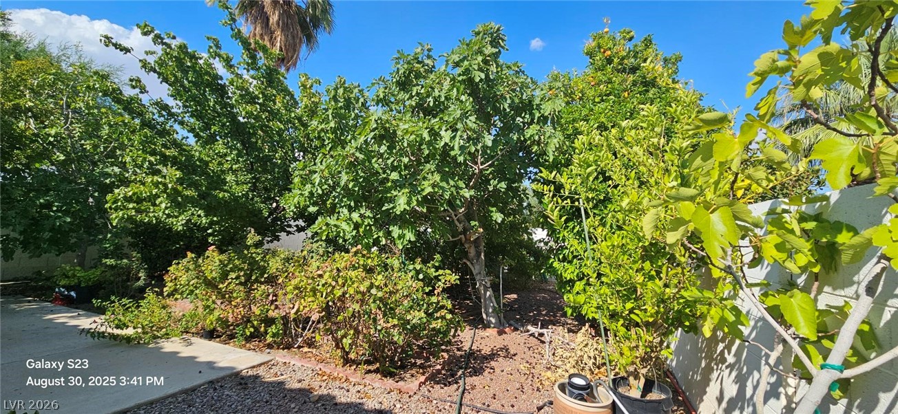 3320 Michelangelo Court Property Photo 8