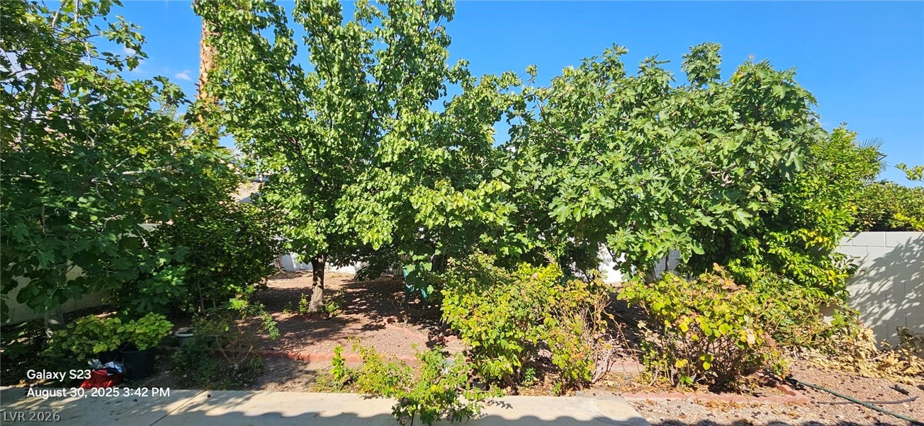 3320 Michelangelo Court Property Photo 10