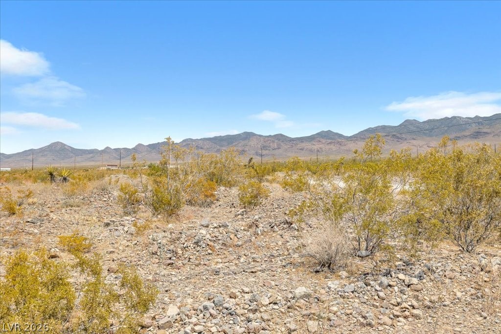 1920 East Fort Churchill Road Property Photo 6