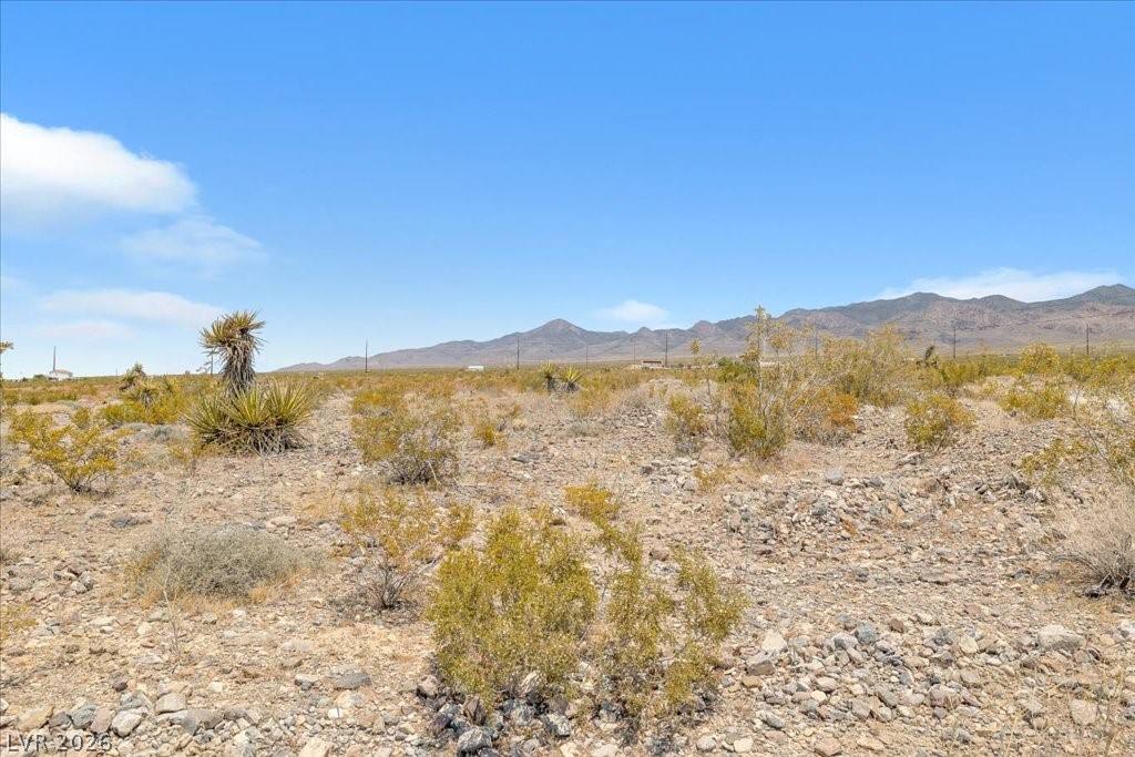 1920 East Fort Churchill Road Property Photo 9