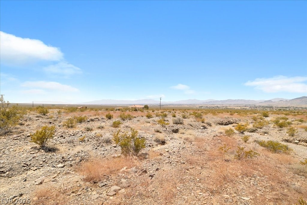1920 East Fort Churchill Road Property Photo 10