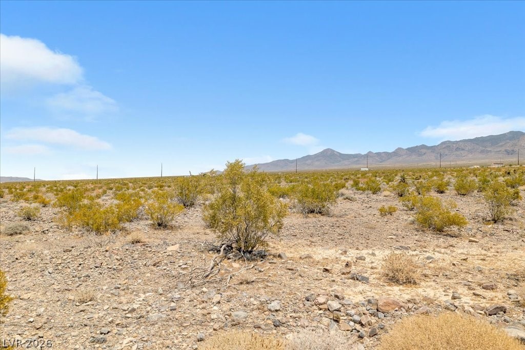 1920 East Fort Churchill Road Property Photo 11