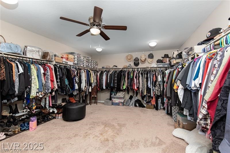 5520 Bruin Lakes Street Property Photo 20