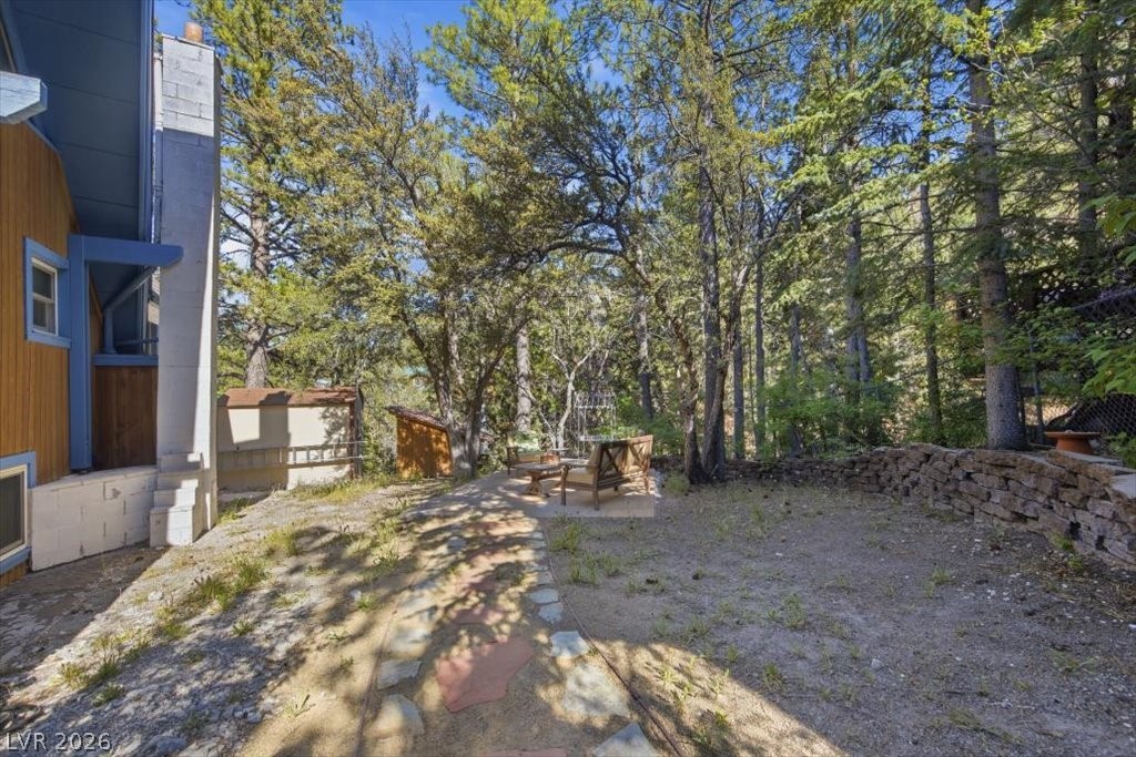 4065 Mont Blanc Way Property Photo 45