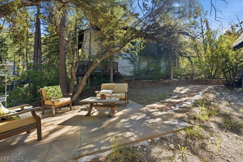 4065 Mont Blanc Way Property Photo 46
