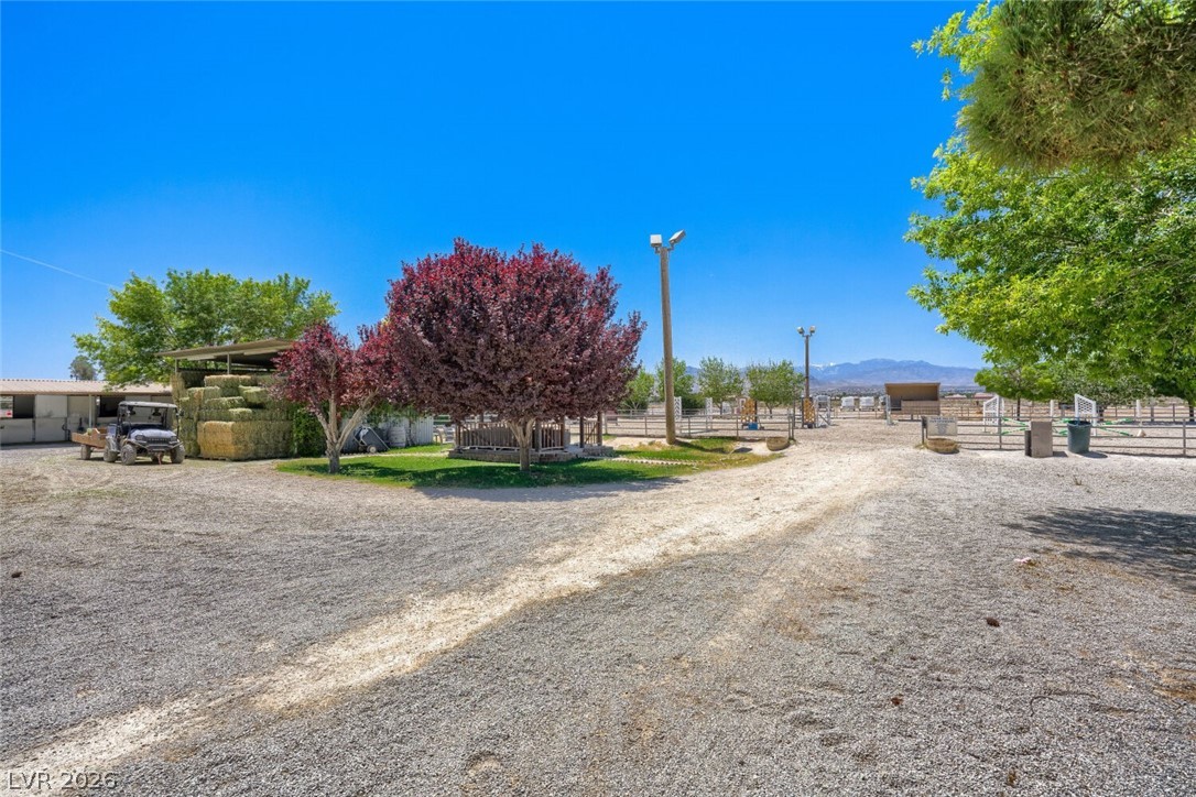 6325 Guy Ave & 6320 Horse Drive Property Photo 23