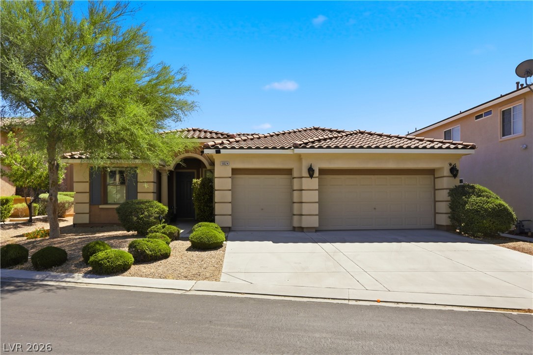 10024 Wild Calla Street Property Photo 2