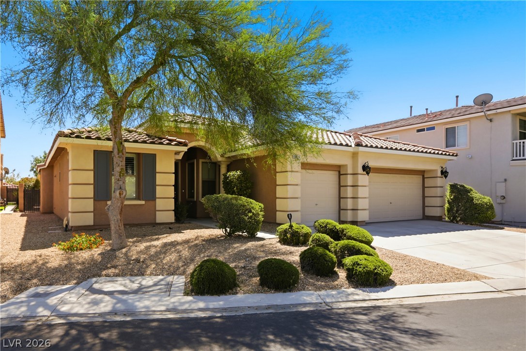 10024 Wild Calla Street Property Photo 4
