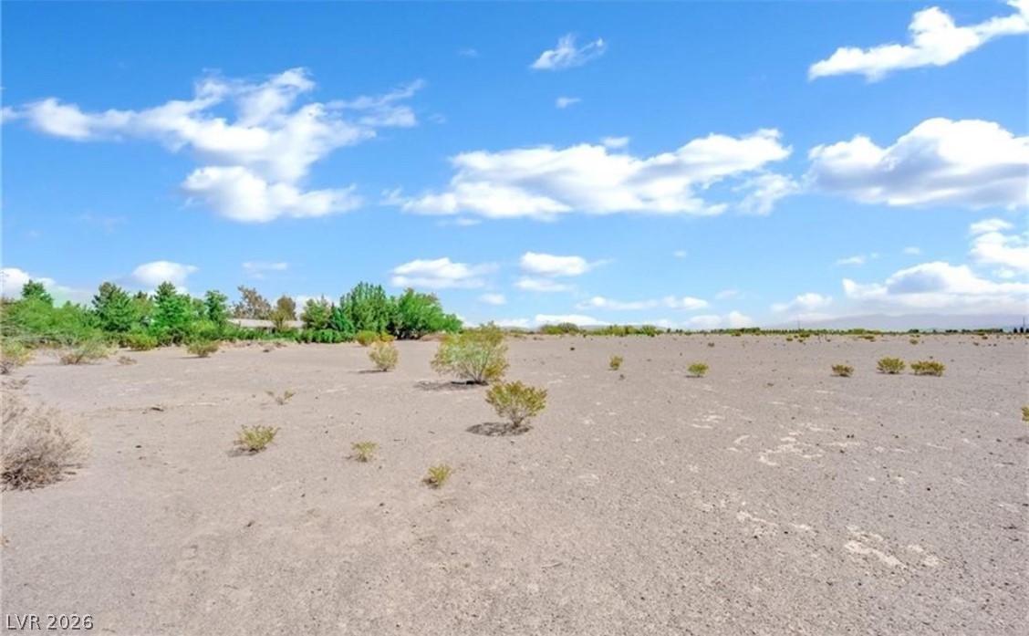 3699 South Miner Road Property Photo 4