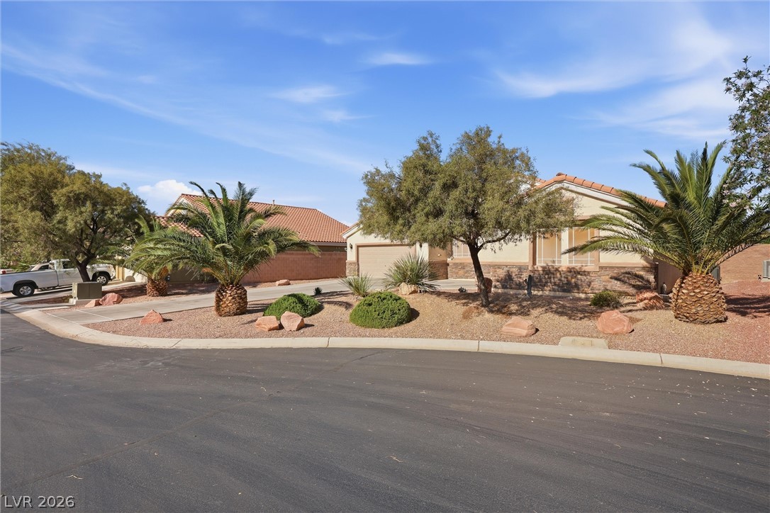 10419 Apples Eye Street Property Photo 3