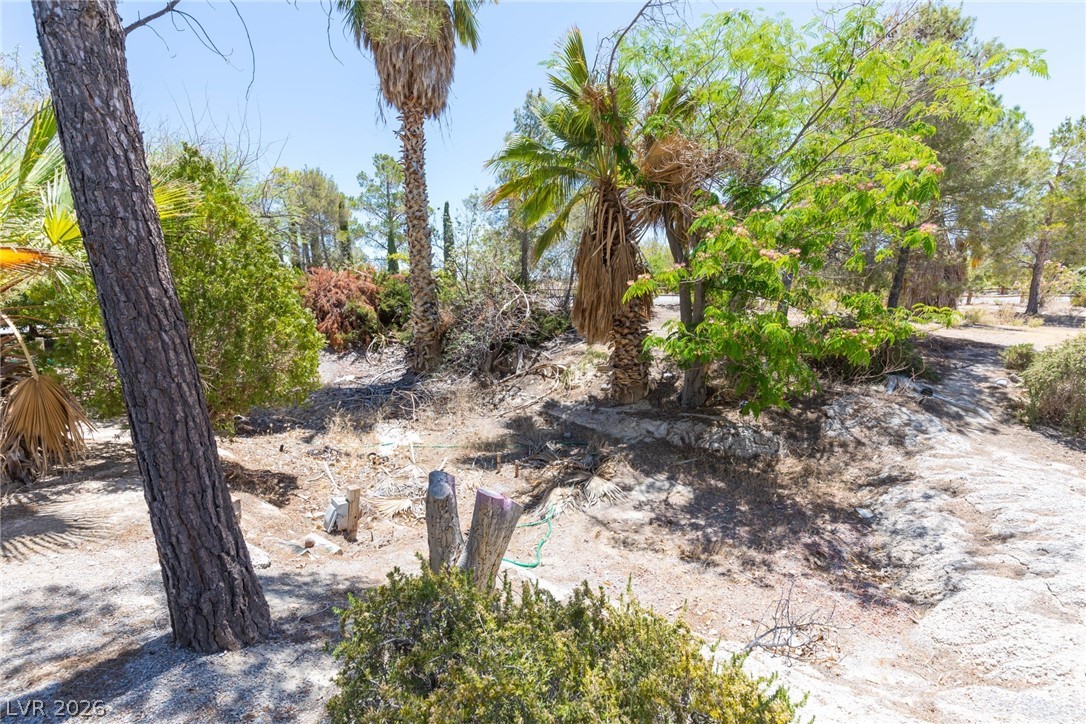 1130 East Mesquite Avenue Property Photo 29