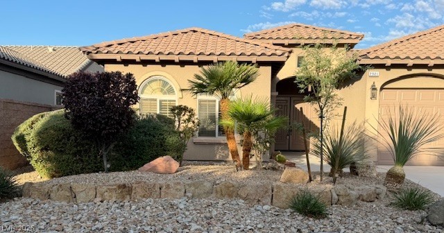7521 Java Sparrow Street Property Photo 1