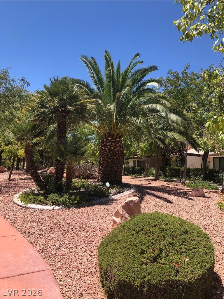 3066 Conquista Court Property Photo 33