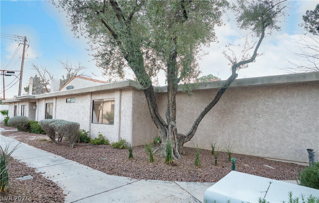 2451 Domingo Street Property Photo 14