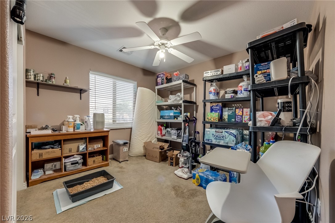 10976 Mount Stellar Street Property Photo 21