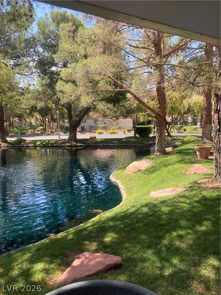 7061 Bright Springs Court Property Photo 43