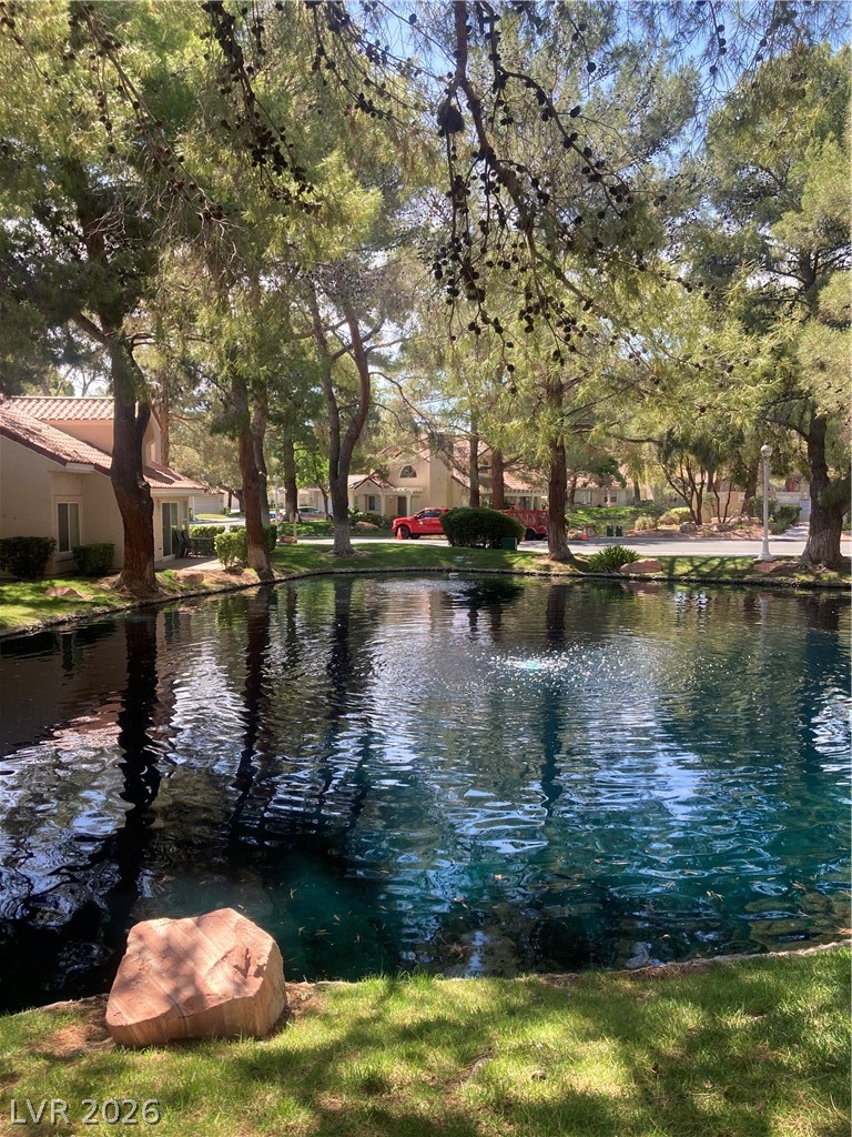 7061 Bright Springs Court Property Photo 45
