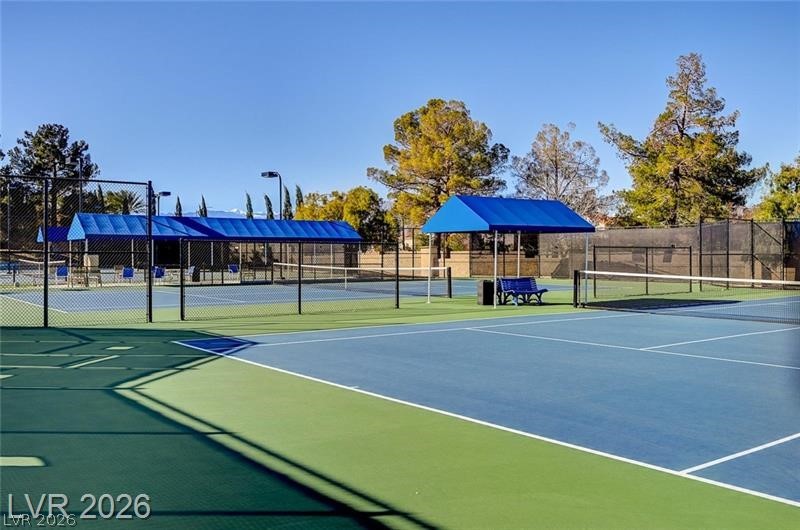 7061 Bright Springs Court Property Photo 46
