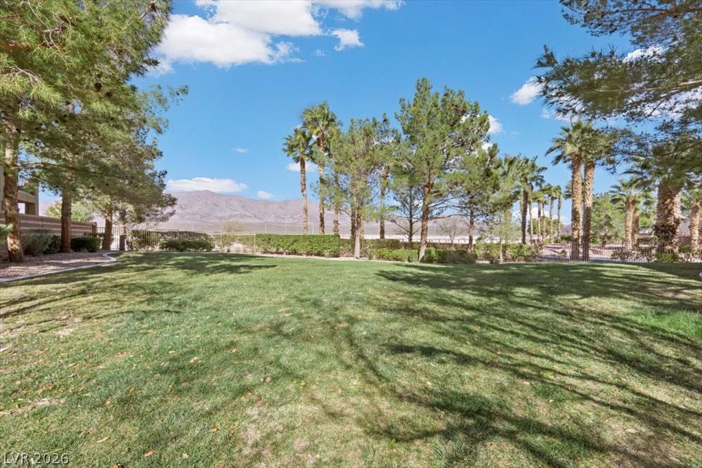 4104 Cathedral Falls Avenue Property Photo 69