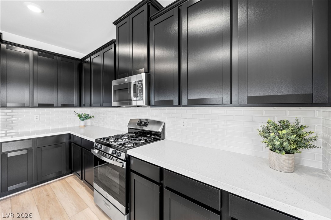 307 Mount Langley Street Property Photo 11
