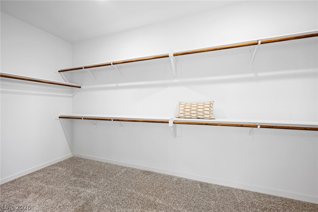 309 Mount Langley Street Property Photo 34