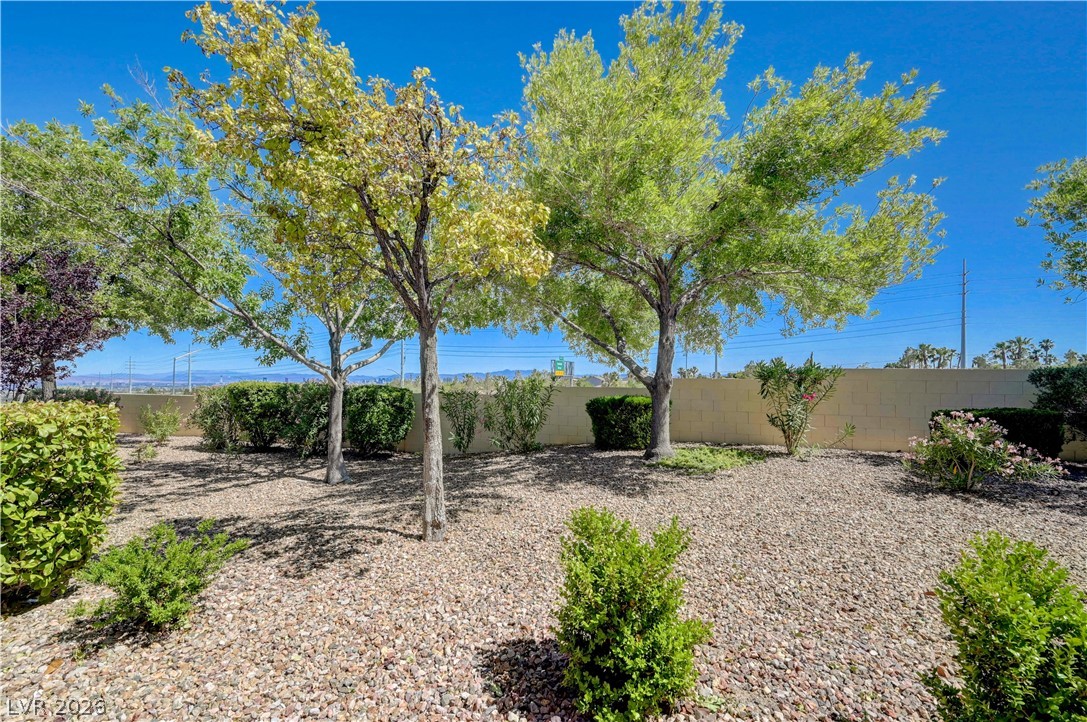 10625 Mission Lakes Avenue Property Photo 20