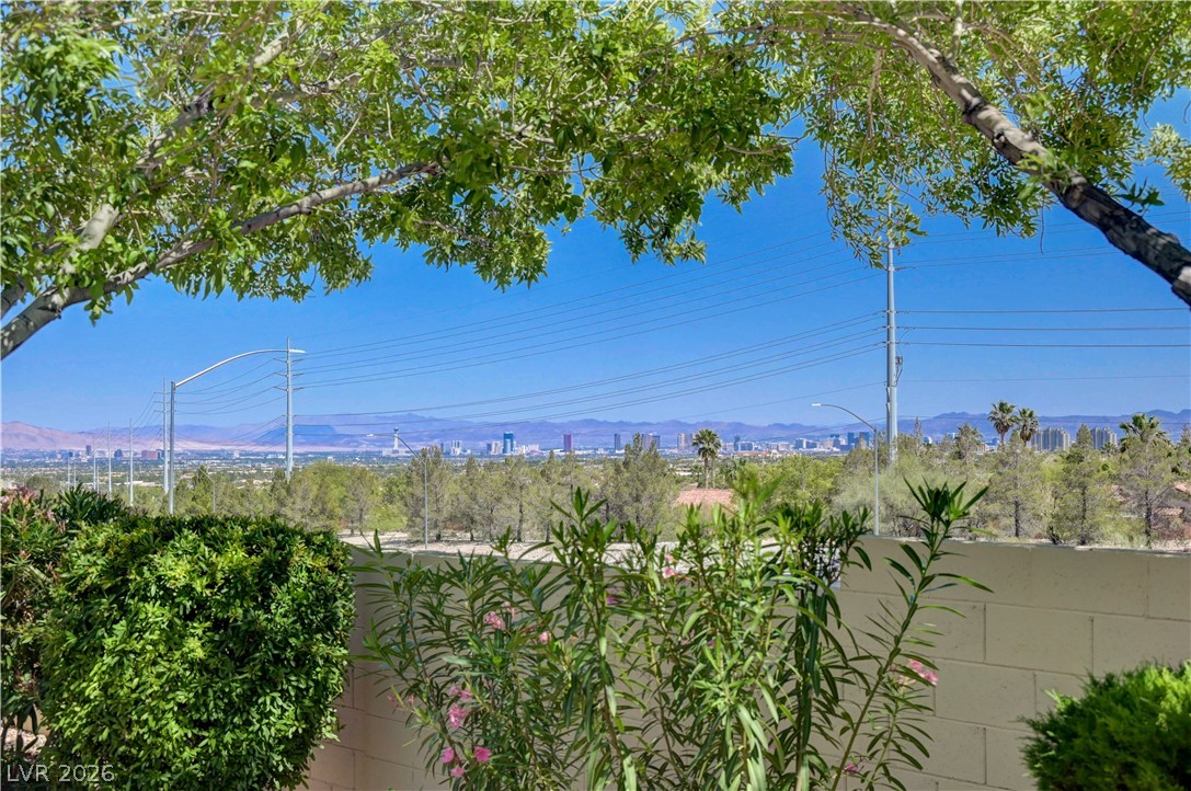 10625 Mission Lakes Avenue Property Photo 21