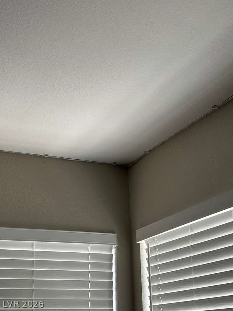 9901 Trailwood Drive 1069 Property Photo 64