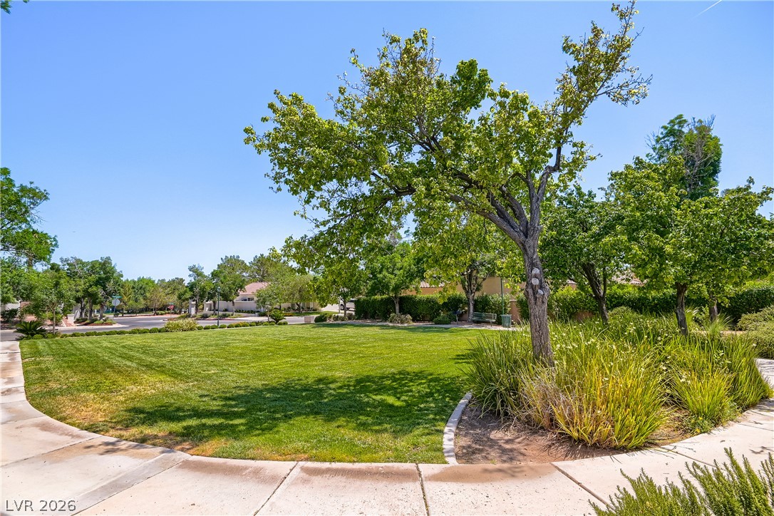 310 Dazzling Terrace Property Photo 41