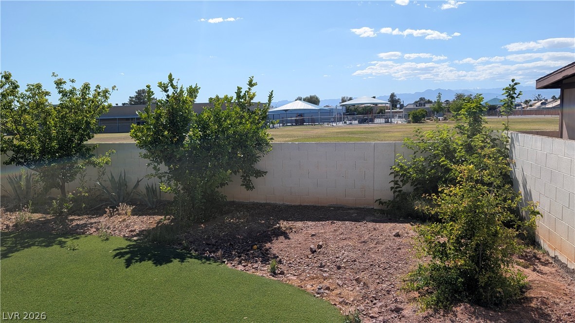 1061 Pikes Peak Court Property Photo 22
