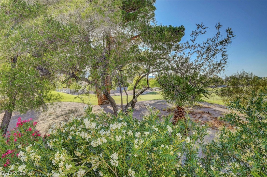 5253 Drifting Sands Court Property Photo 39