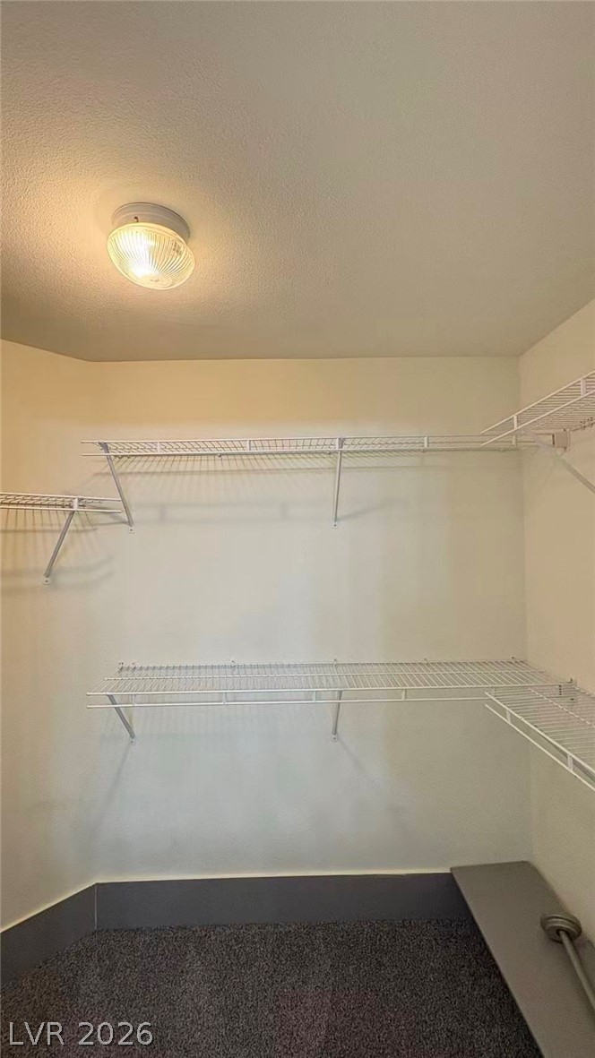 7163 South Durango Drive 204 Property Photo 12