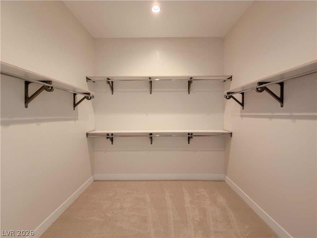 10761 Canyon Bloom Drive Property Photo 68