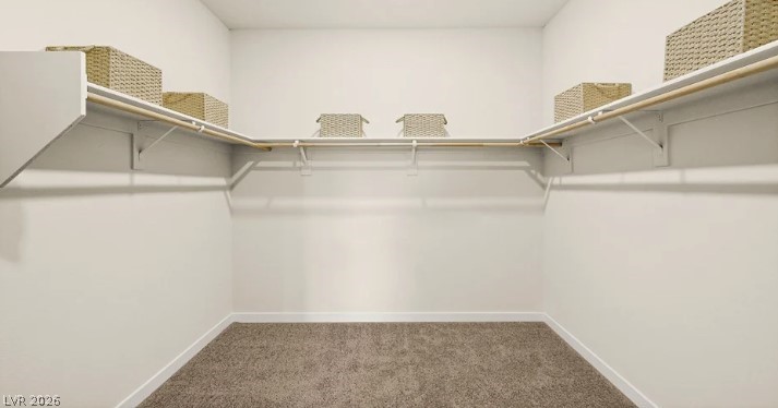 4120 East Brusca Way Property Photo 17