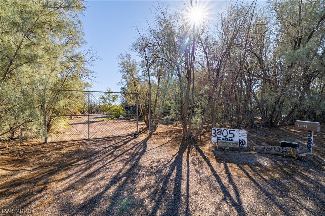 3805 West Amargosa Farm Road Property Photo 3