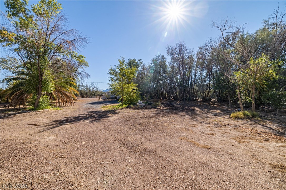 3805 West Amargosa Farm Road Property Photo 4