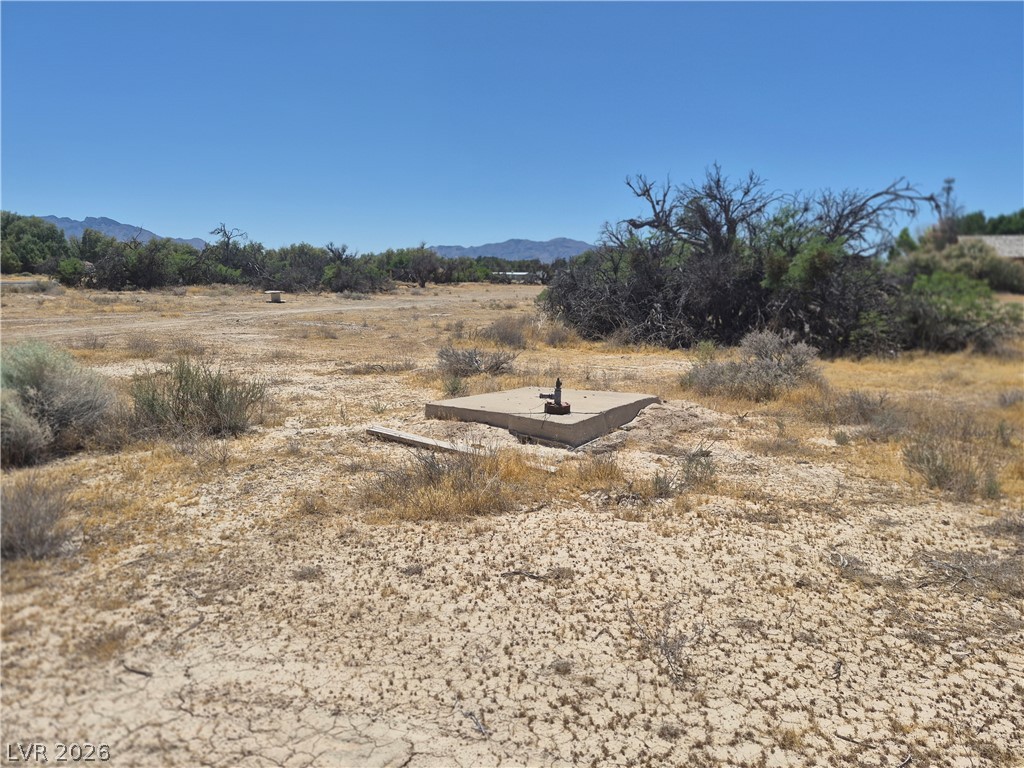 1820 West Basin Avenue Property Photo 3