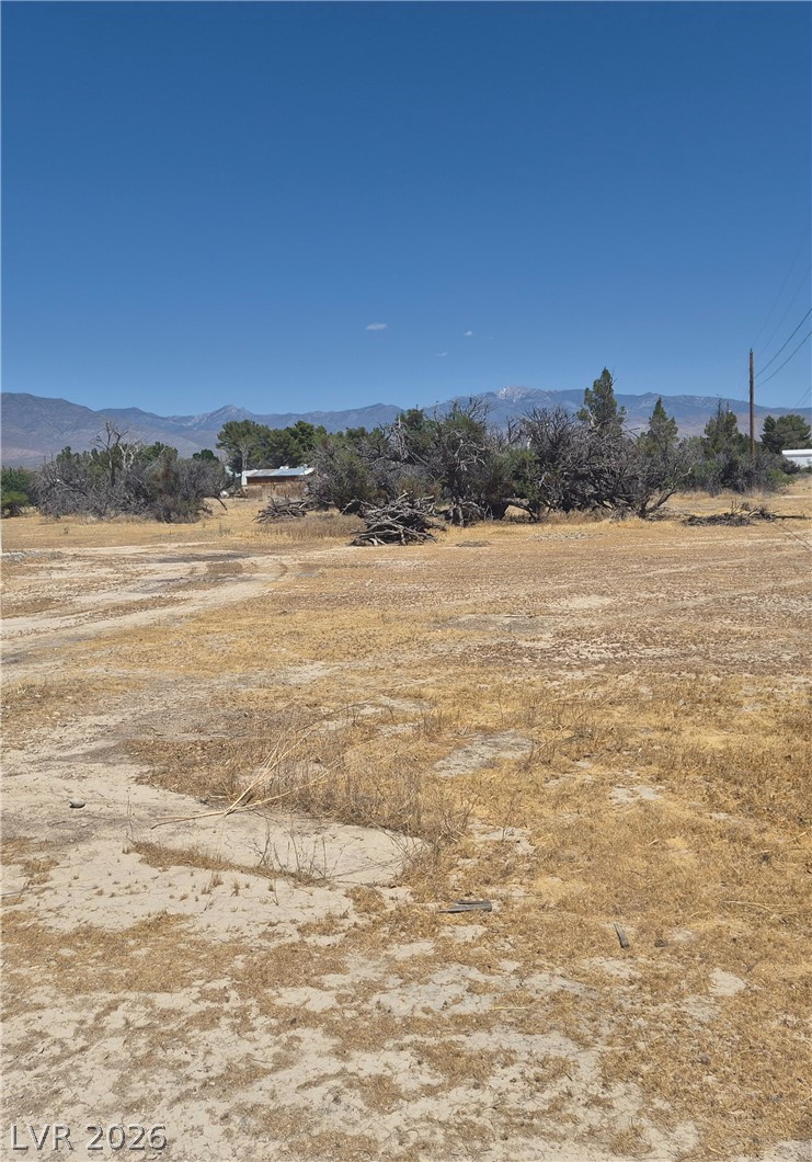 1821 Grouse Street Property Photo 5
